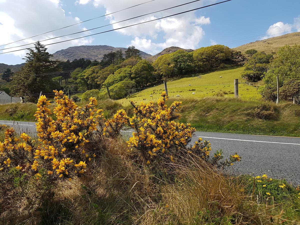 Kylemore Pass Hotel Летърфрак Екстериор снимка